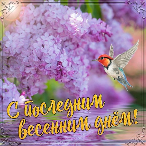 С последним весенним днем