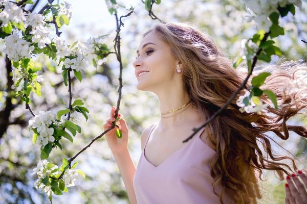 Расцвела сирень черемуха в саду