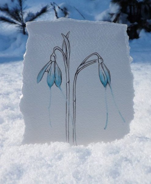 Птицы ранней весной