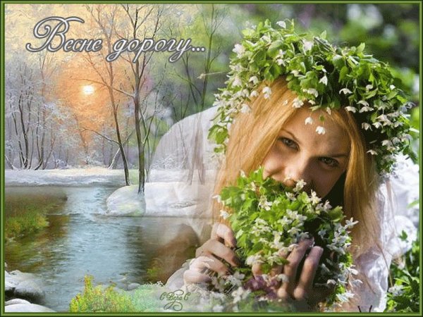 Ветки в снегу