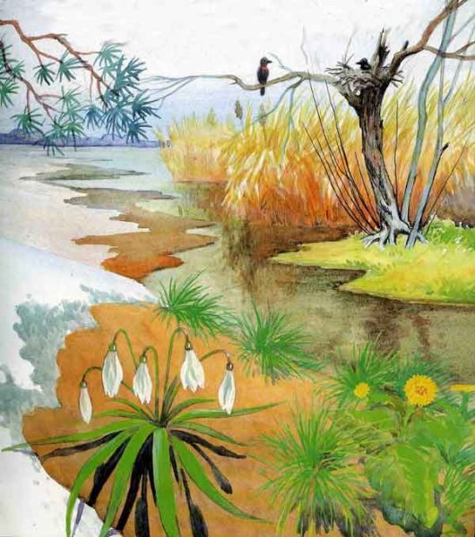 Весна в лесу иллюстрация