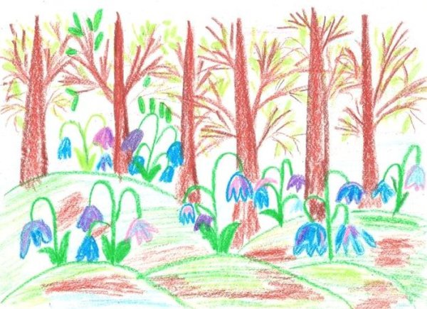 Рисование карандашами в средней группе