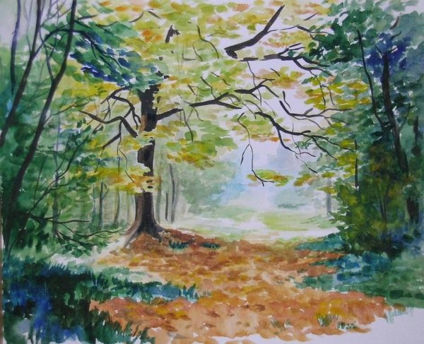 Зарисовки осеннего леса
