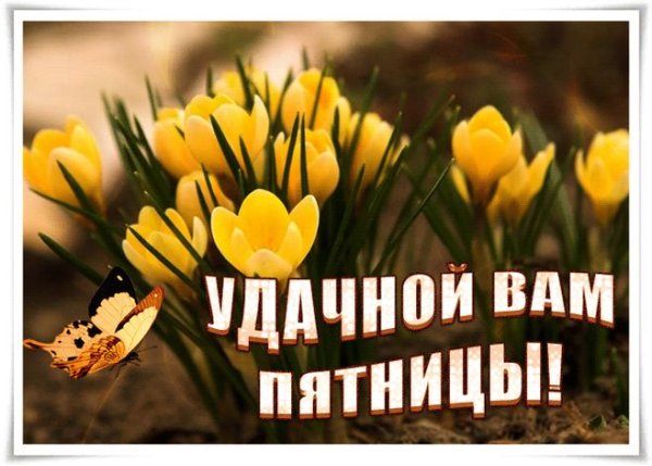 Доброе утро пятница Весна