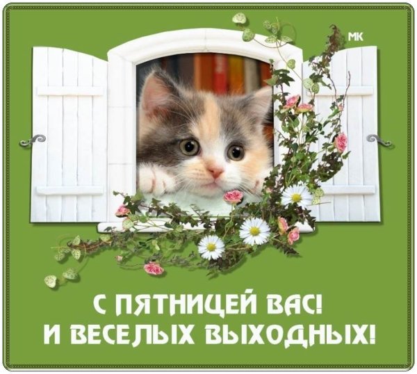Апрельский весенний привет