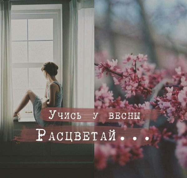 Расцветай афоризмы