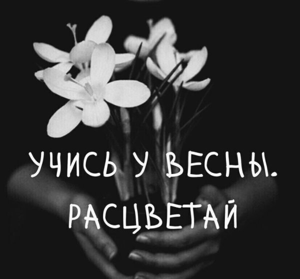 Сакура Эстетика