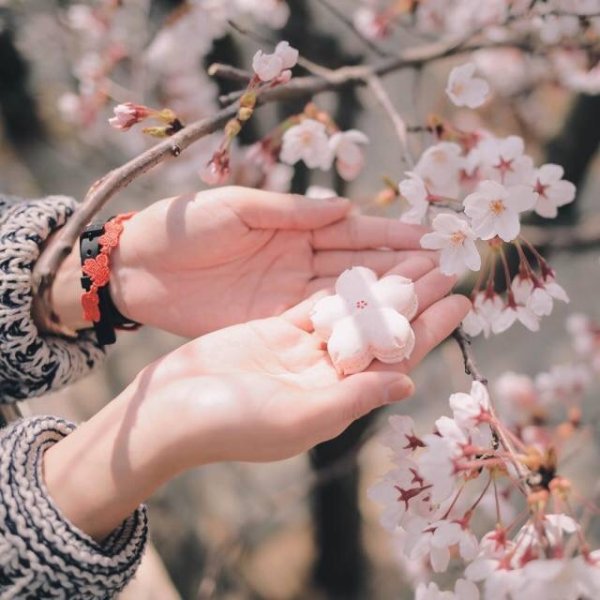 Учись у весны Расцветай