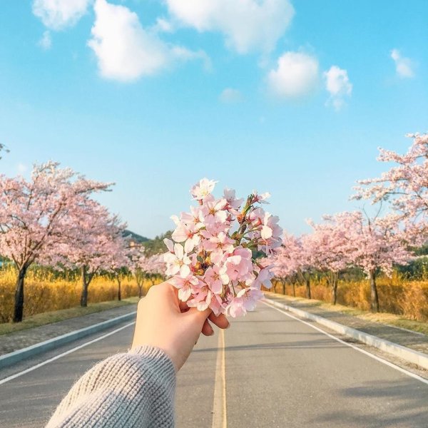 Нежная Весна