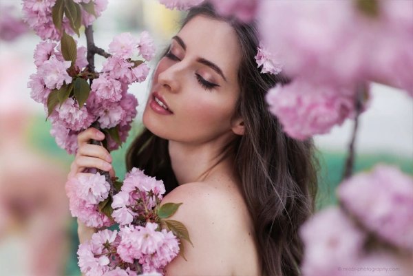 Османтус Эстетика