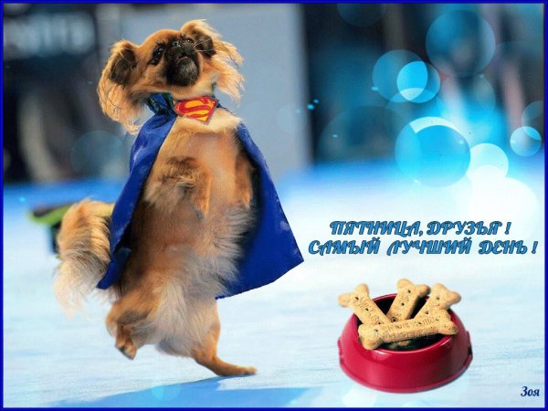 Хорошего дня девочки