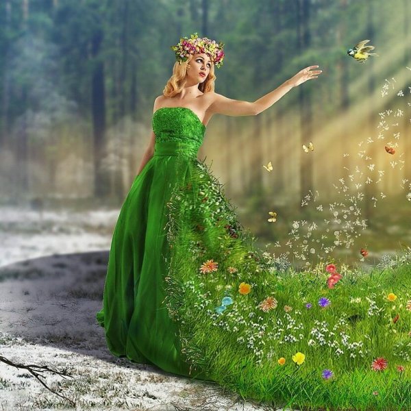 Сакура пурпурная (мелкозубчатая