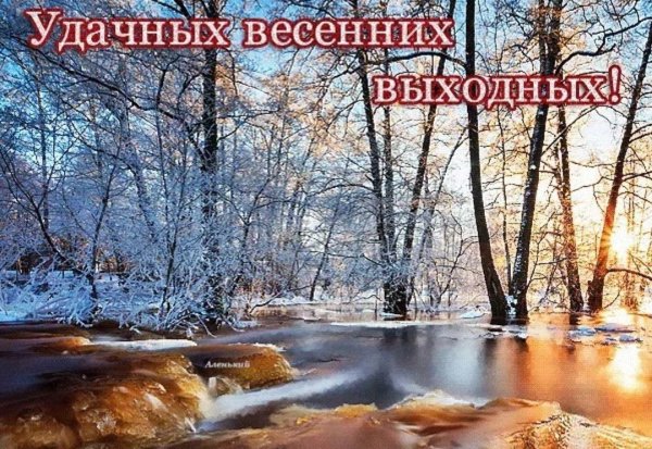 С добрым утром Бельчонок