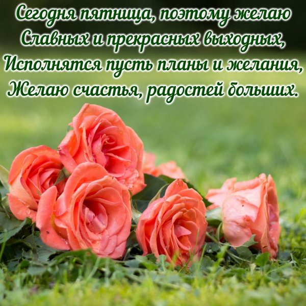 Хорошего весеннего дня и отличного настроения
