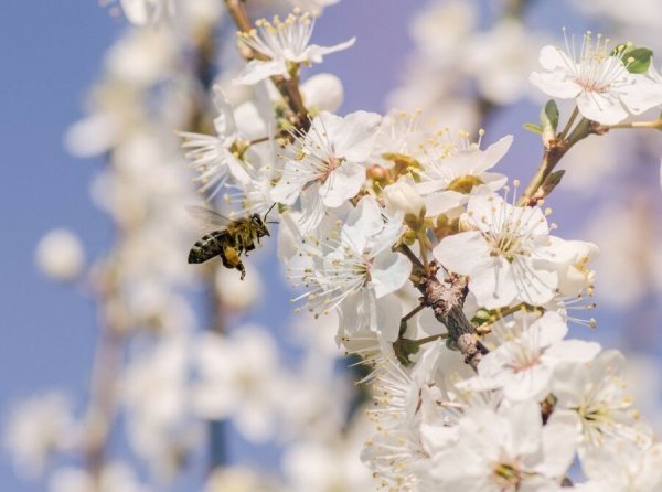 Цитаты для сообщества