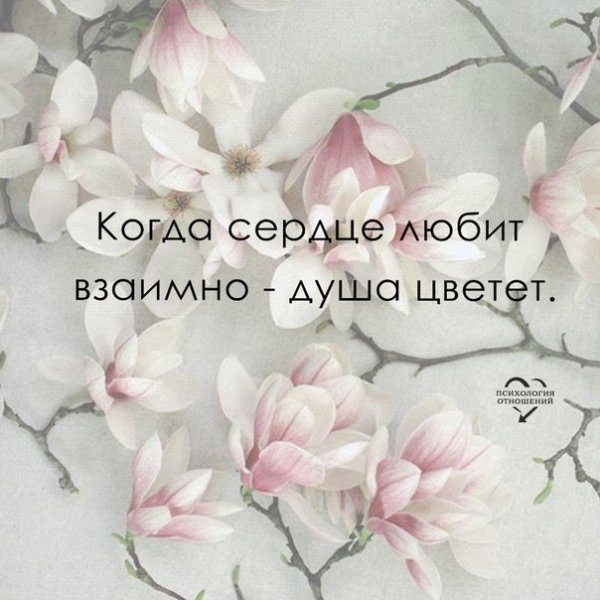 Весеннее настроение любовь