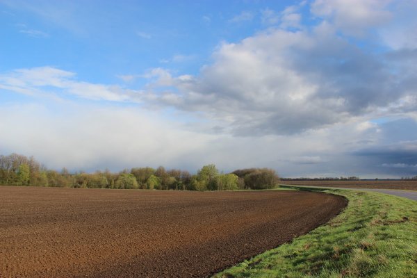 Курск поля вспаханные