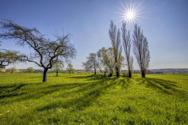 Весна природа