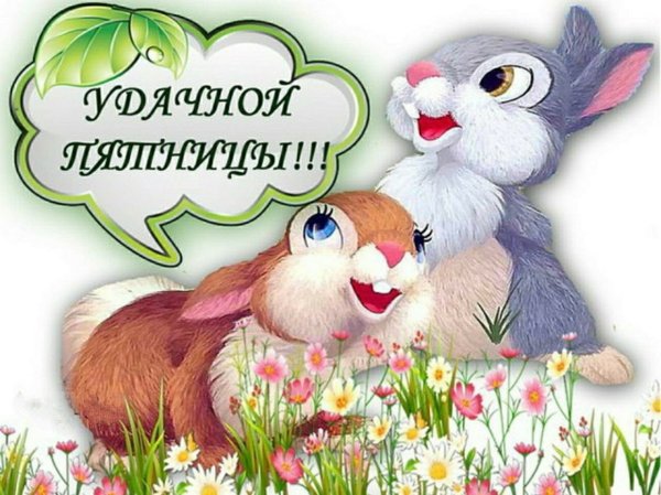 Открытки с добрым утром пятницы