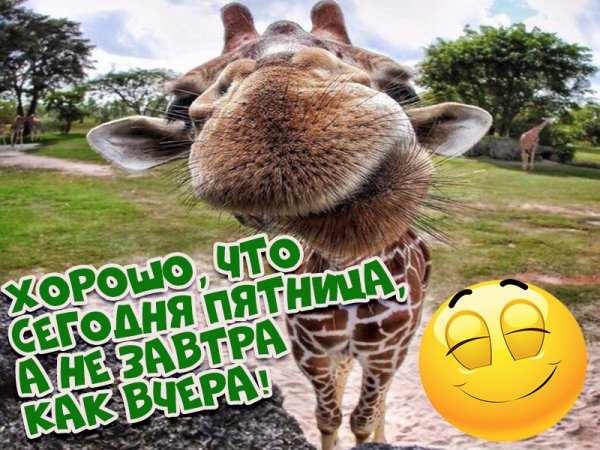 Доброе утро пятницы
