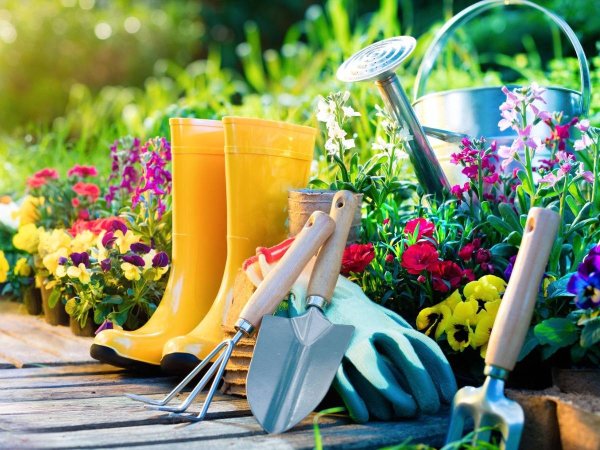 Товары для сада и огорода баннер