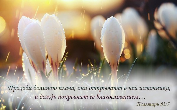 День благословения