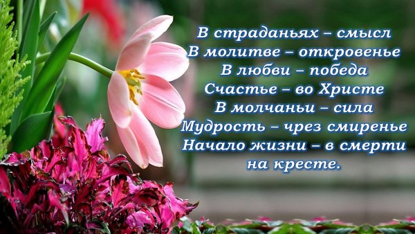 Позитивные пожелания с добрым утром