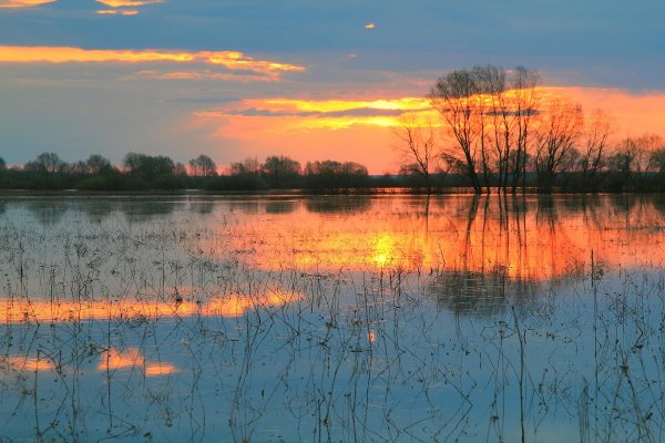 Весеннее солнце