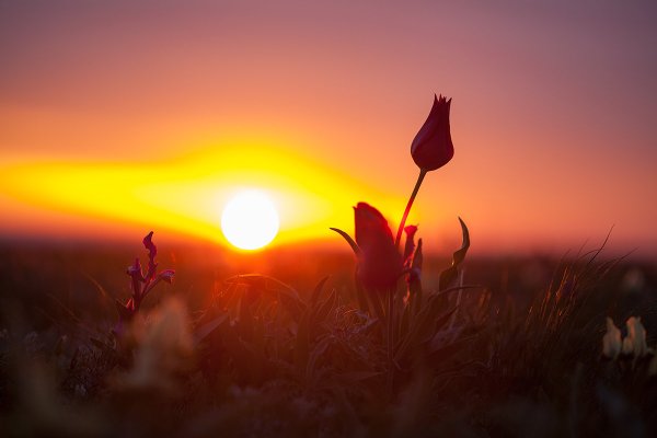 Красота русской природы