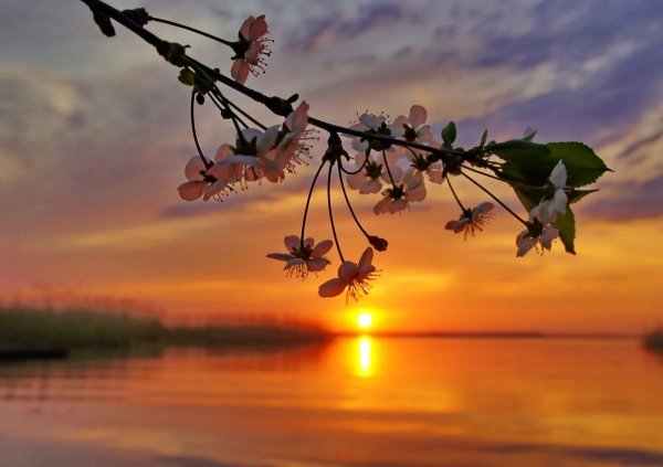 Красивый весенний закат