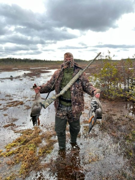 Северная Двина