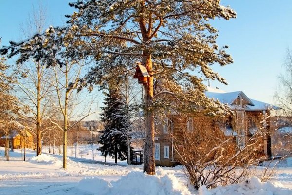 Весна в Архангельске
