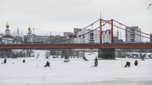 Весенний разлив в лесу