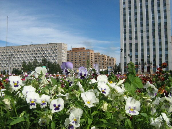 Монумент Петра в Архангельске