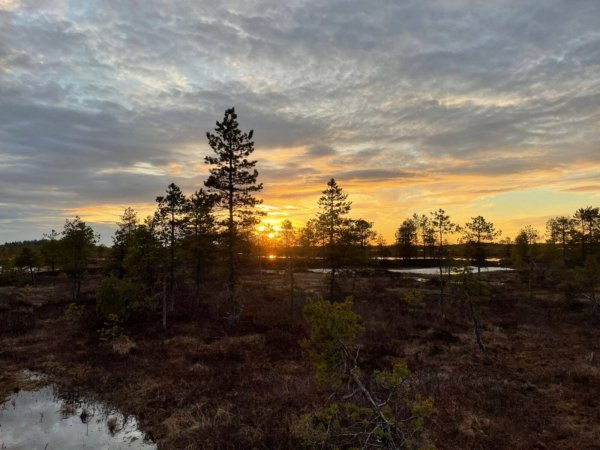 Белое море Северодвинск Ягры