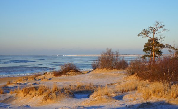 Архангельск весной