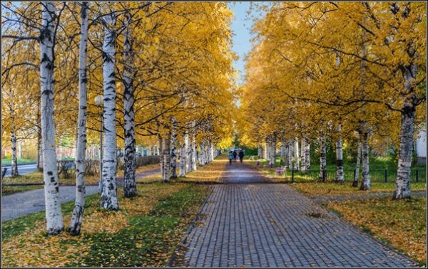 Весенняя набережная Архангельск