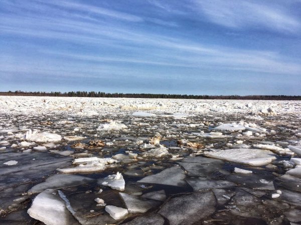 Природа севера Архангельская область