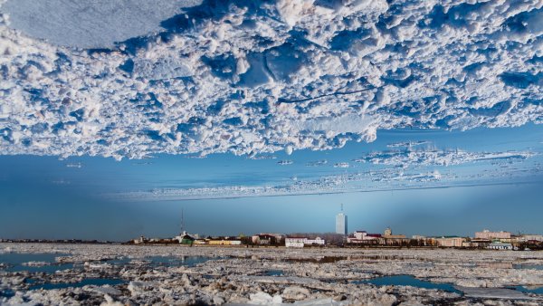 Охота на гуся на болоте в Архангельской области