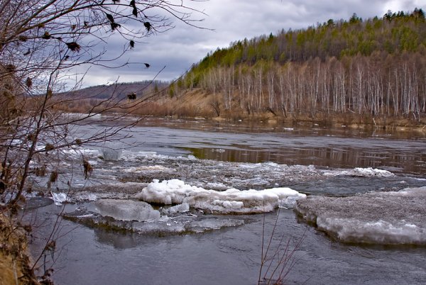 Колва приток Вишеры ледоход