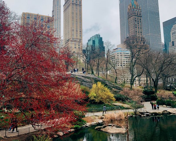 Центральный парк Нью-Йорк весной