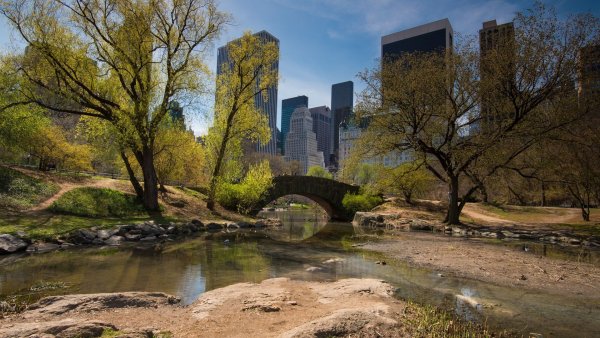 Центральный парк Нью-Йорк мостик