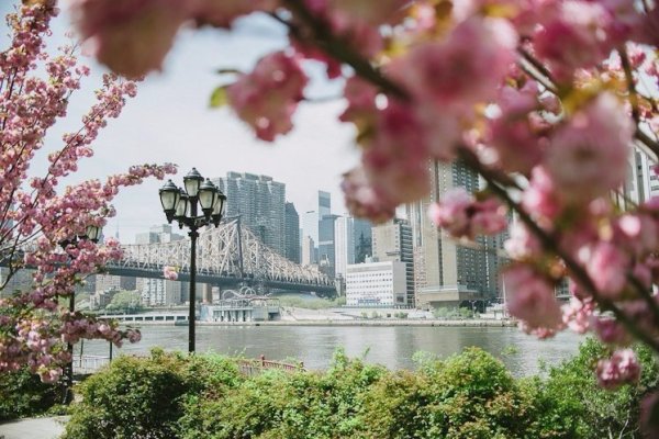 Весенний Нью Йорк