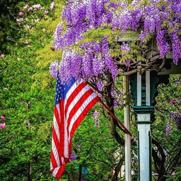 Красивая Весна в Америке