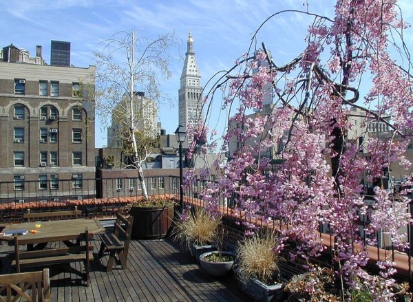 Центральный парк Нью-Йорк весной