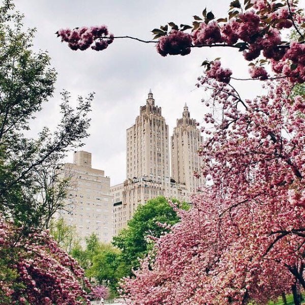 Центральный парк Нью-Йорк весной
