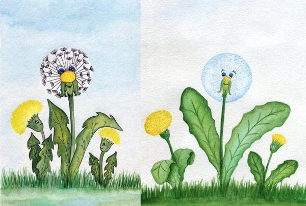 Одуванчик быррангский