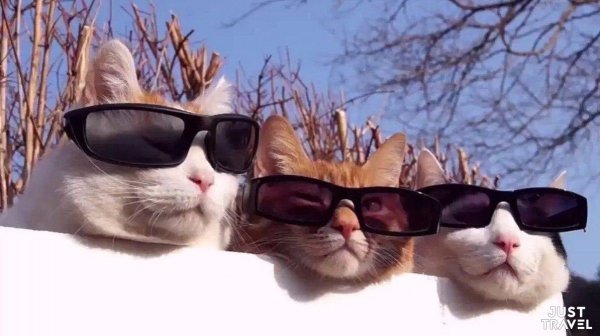 Позитивные иллюстрации