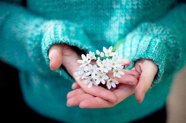 Смешные котики в очках