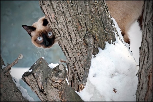 Демотиваторы про весну
